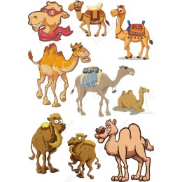 Quirky Camel Bundle