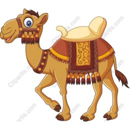Cheerful Camel