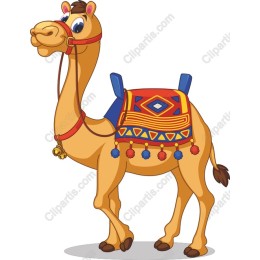 Charming Camel