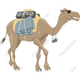 Camel Adventure