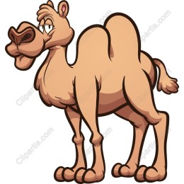Cartoon Camel