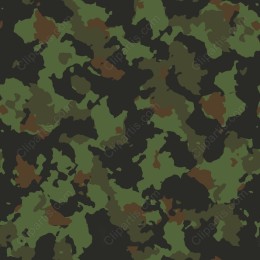 Camouflage Pattern
