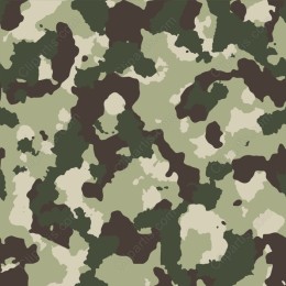 Camouflage Pattern