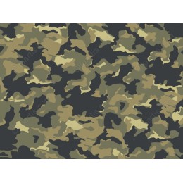 Classic Camouflage Pattern
