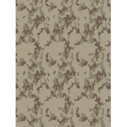 Modern Camouflage Pattern