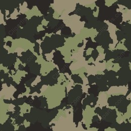 Camouflage Pattern
