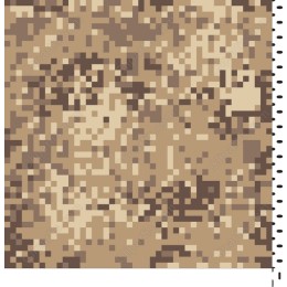 Digital Camouflage