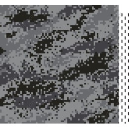 Digital Camouflage