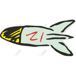 Playful Fish