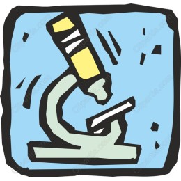 Whimsical Microscope