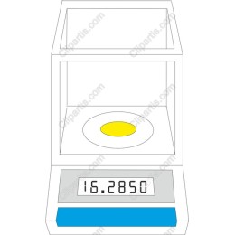 Digital Scale