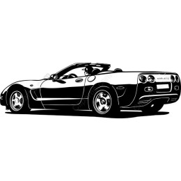 Sleek Convertible Sports Car