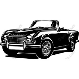 Vintage Convertible Car