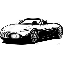 Luxurious Convertible Car