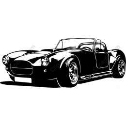 Classic Sports Car