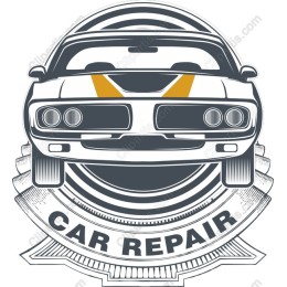 Dynamic Car Repair