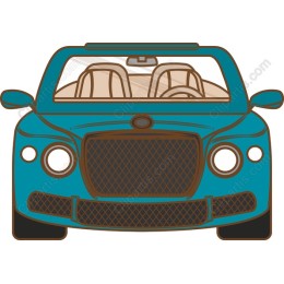 Luxurious Convertible Car