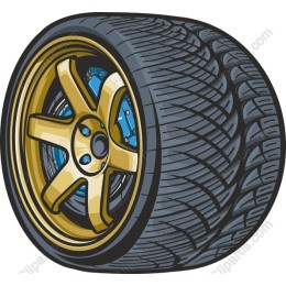Gold Rimmed Car Tire
