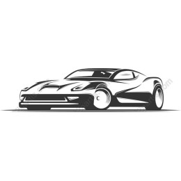 Sleek Sports Car