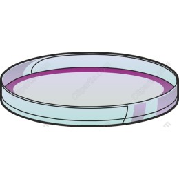 Modern Round Plate
