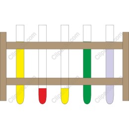 Colorful Test Tube Rack