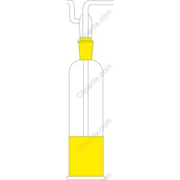 Vibrant Oil Bottle
