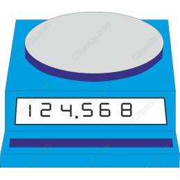 Digital Scales