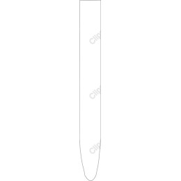 Elegant Minimalist