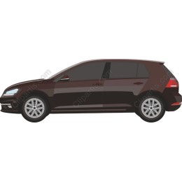 Brown Compact Hatchback