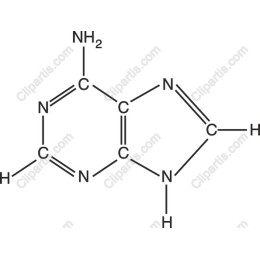 Caffeine Molecular Structure