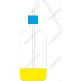 Vibrant Oil Bottle