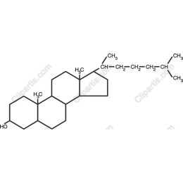Steroid Structure