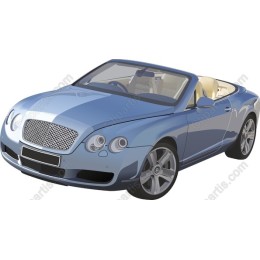 Luxury Convertible Car