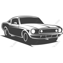 Vintage Muscle Car