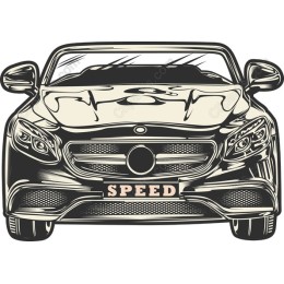Luxury Speed Car