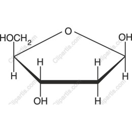 Sugar Molecule