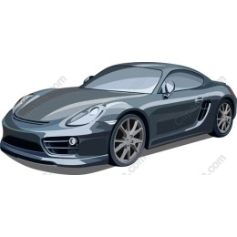 Sleek Sports Car