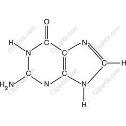 Caffeine Molecular Structure