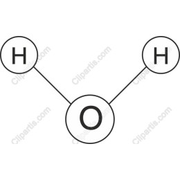 Water Molecule