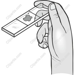 Microscope Slide Hand