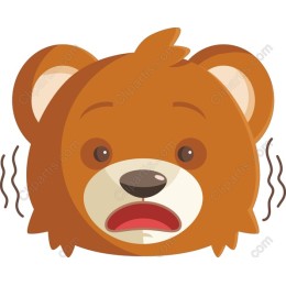 Surprised Bear Face