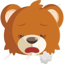 Sleepy Bear Face