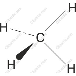 Carbon Atom