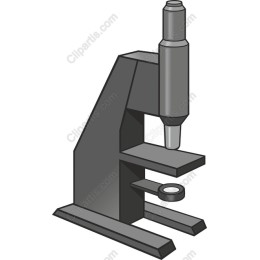 Microscope