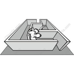 Playful Dog Navigating Maze
