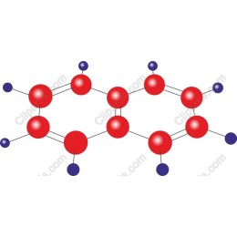 Molecular Connections