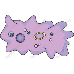 Cellular Fantasy