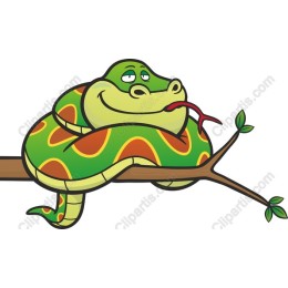 Whimsical Cartoon Snake