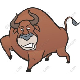 Dynamic Bull
