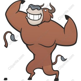 Muscular Bull